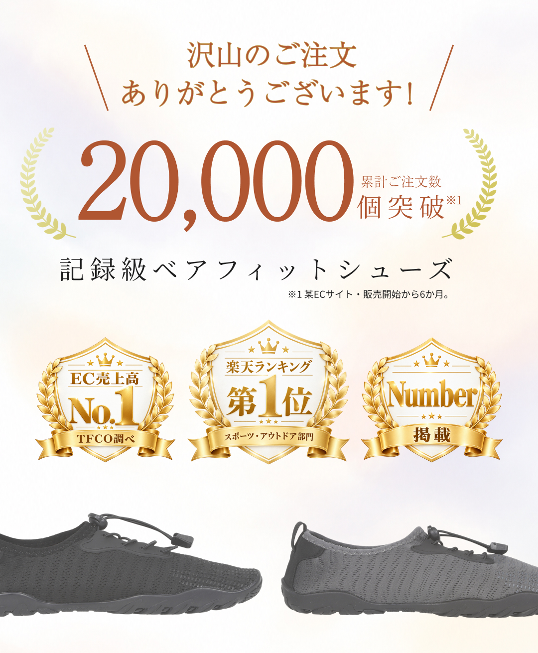 選ばれている実績